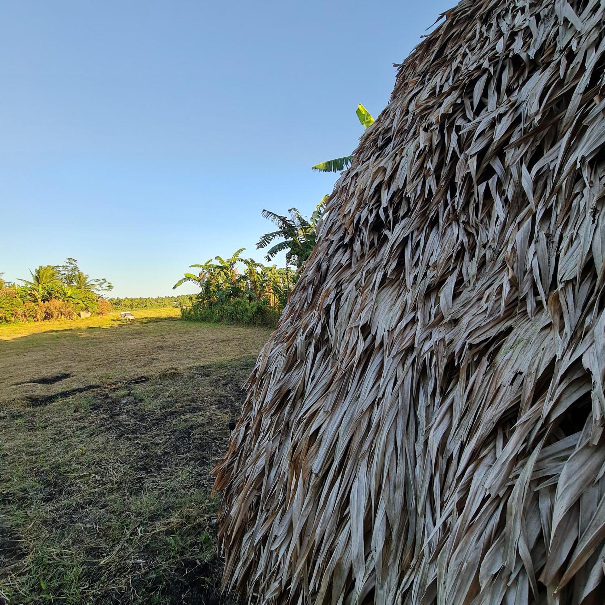 Готель Casa Juan Farm Candelaria  Екстер'єр фото