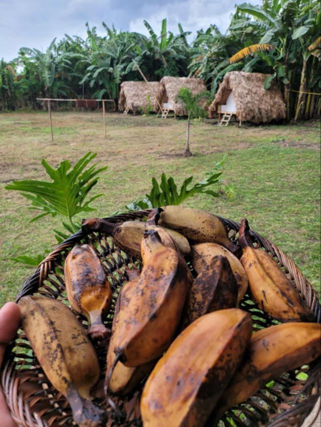 Готель Casa Juan Farm Candelaria  Екстер'єр фото