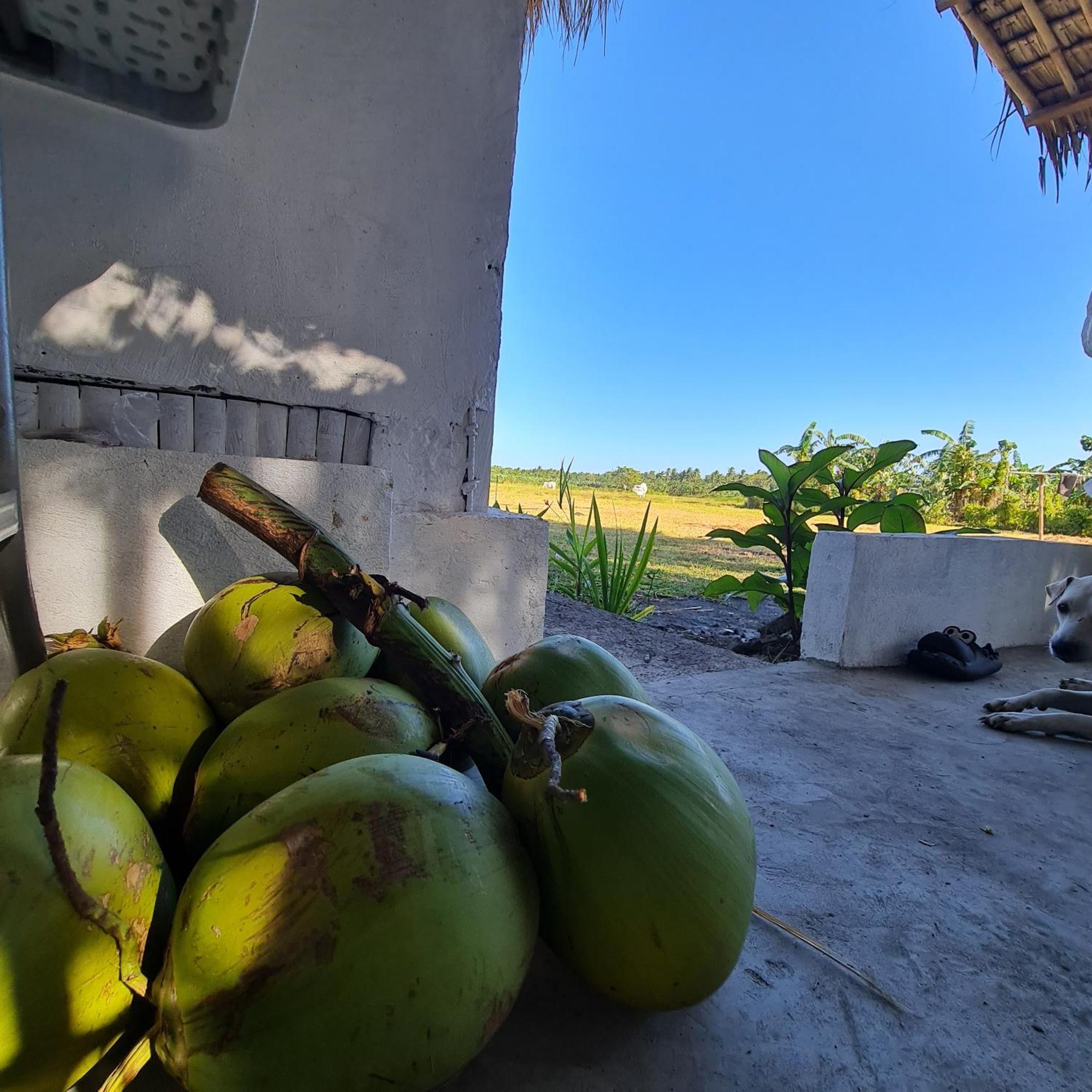 Готель Casa Juan Farm Candelaria  Екстер'єр фото